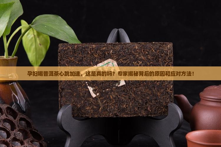 孕妇喝普洱茶心跳加速