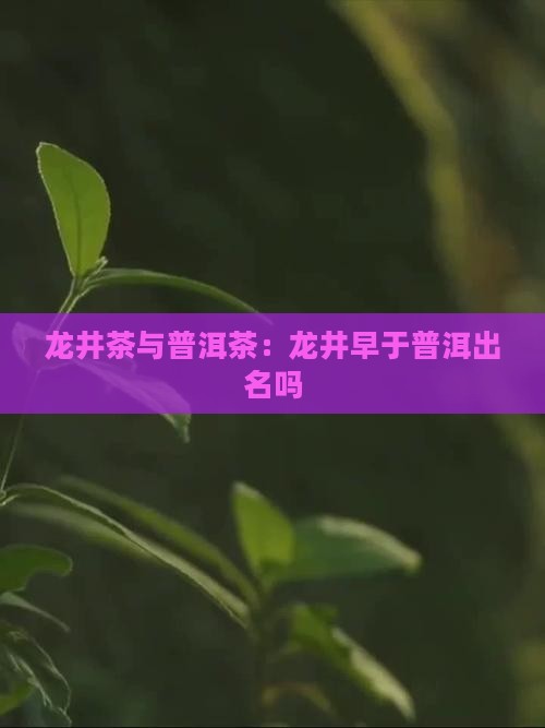 龙井茶比普洱茶早出名吗