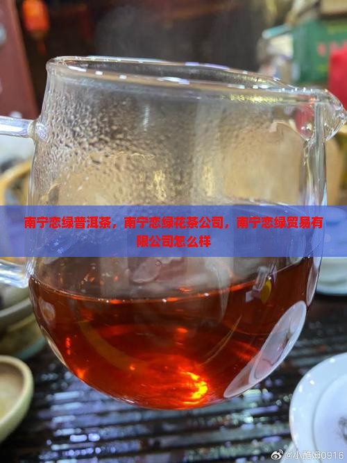 南宁恋绿普洱茶