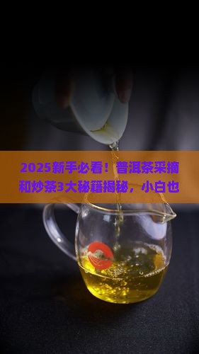 普洱茶采摘和炒茶