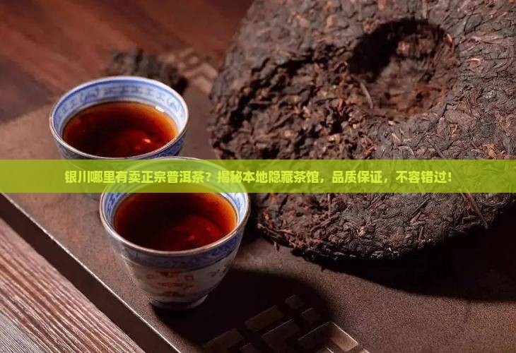 银川哪里有卖正宗普洱茶