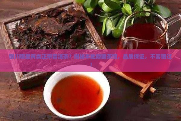 银川哪里有卖正宗普洱茶