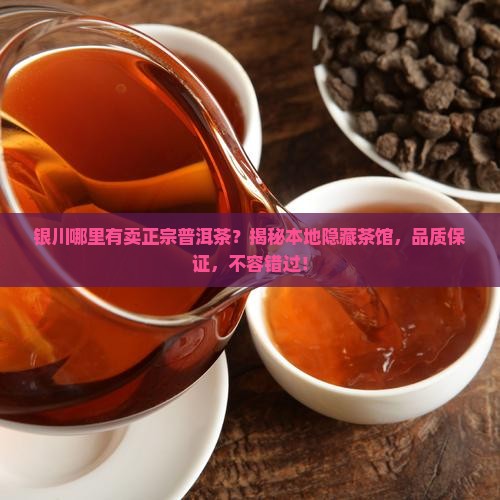 银川哪里有卖正宗普洱茶