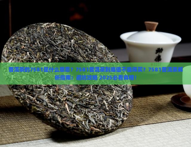 普洱茶的7581是什么意思