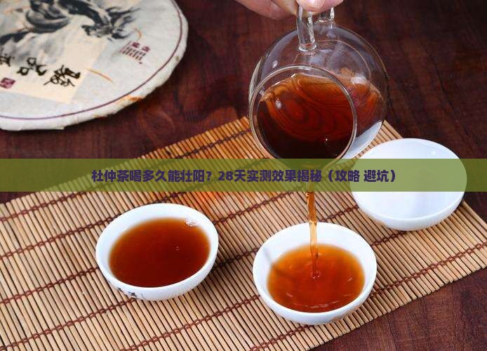 杜仲茶喝多久能壮阳