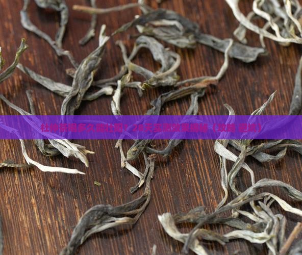 杜仲茶喝多久能壮阳