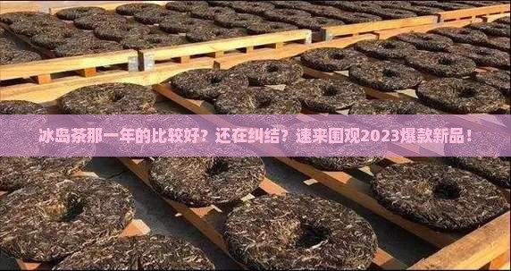 冰岛茶那一年的比较好