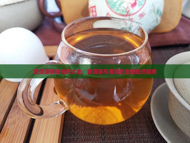 普洱茶茶叶知识大全