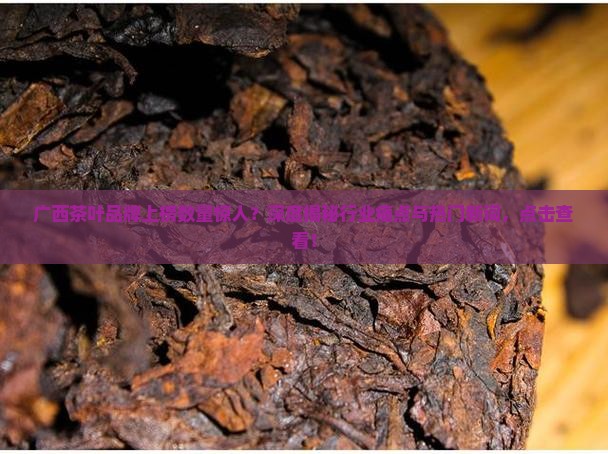 广西茶叶有多少个品牌上榜
