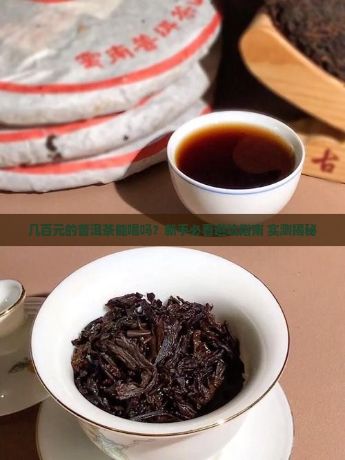 几百元的普洱茶能喝吗
