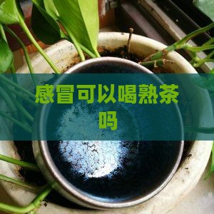 感冒可以喝熟茶吗