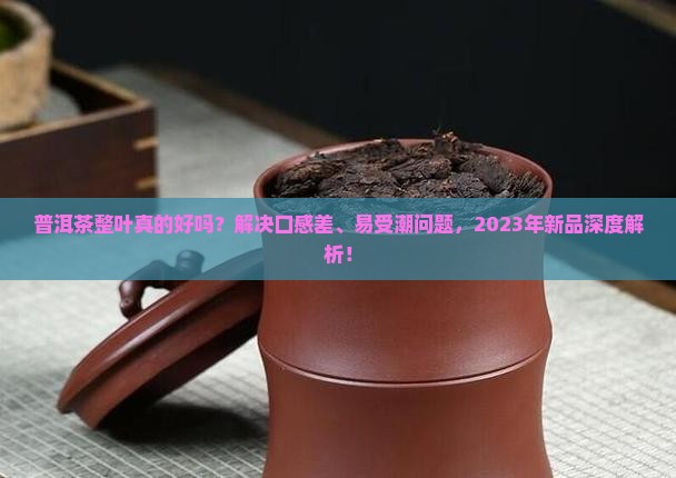 普洱茶整叶的好吗