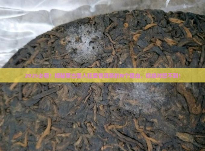 蒙古国人喜欢普洱茶吗