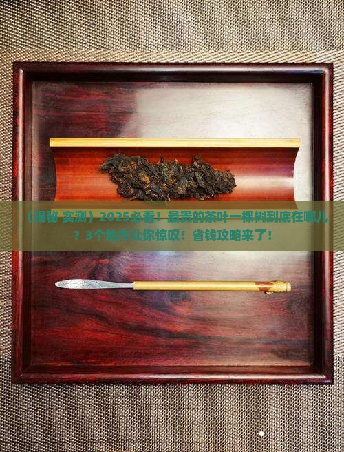 最贵的茶叶一棵树在哪里