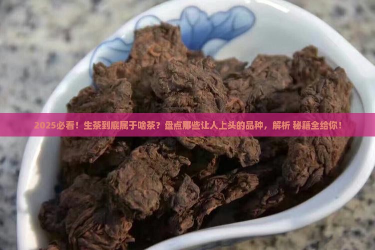 生茶属于什么茶类茶的品种有哪些