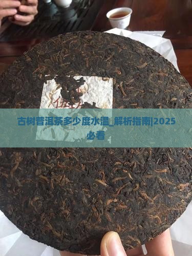 古树普洱茶多少度水温