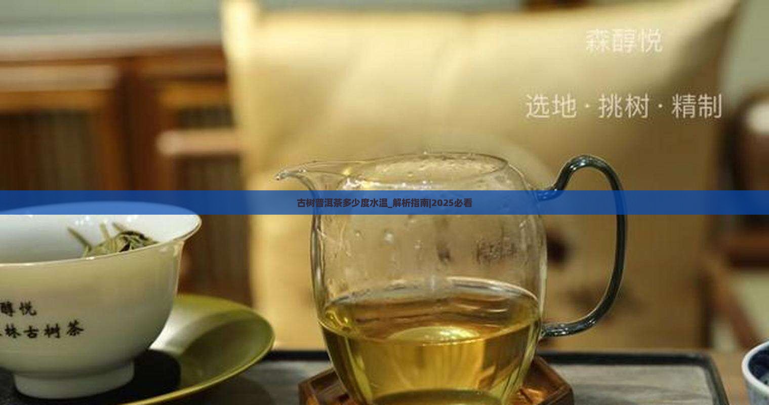 古树普洱茶多少度水温