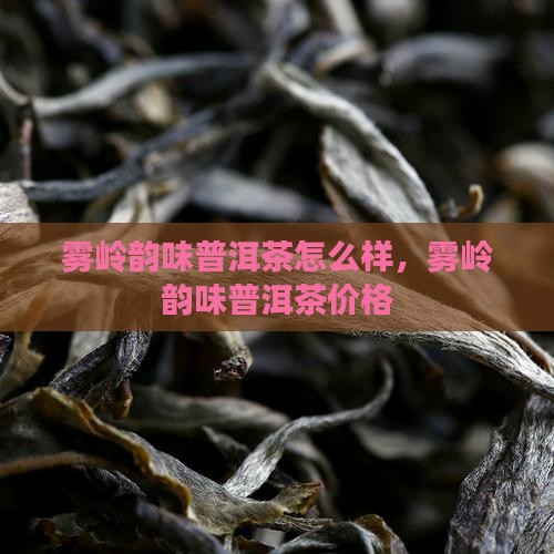 雾岭韵味普洱茶 雾岭韵味普洱茶