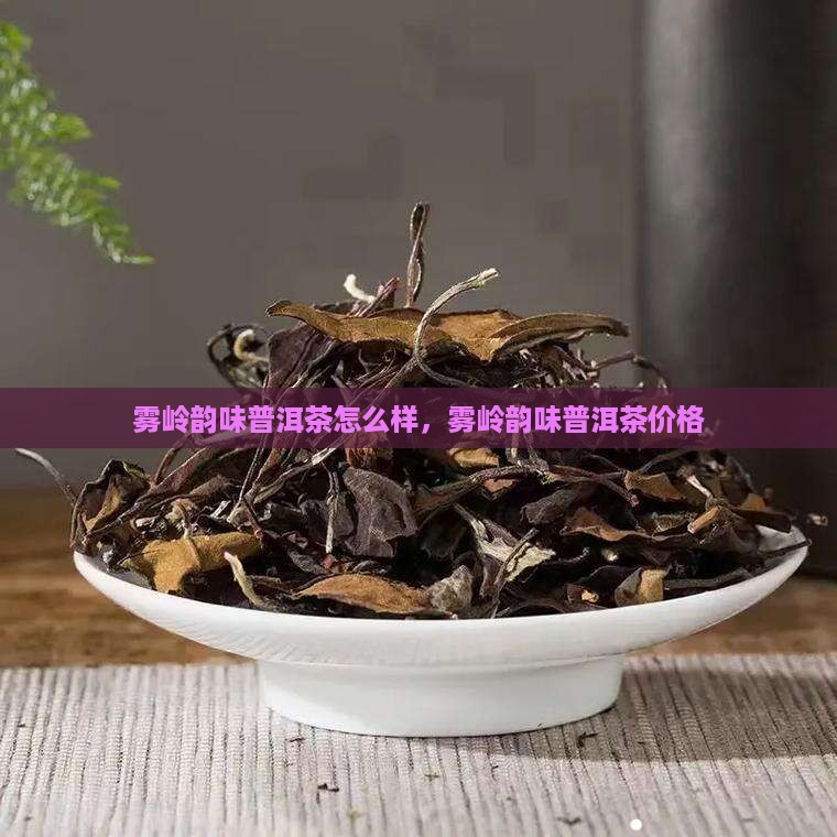 雾岭韵味普洱茶 雾岭韵味普洱茶