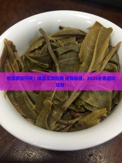 普洱茶试用体质