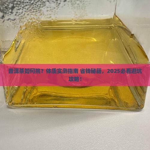 普洱茶试用体质