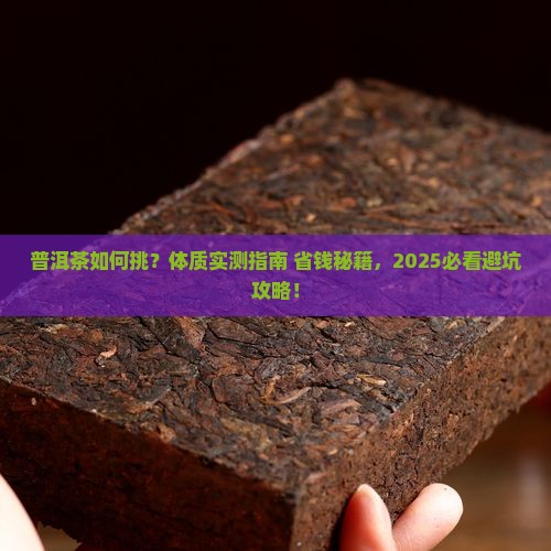 普洱茶试用体质