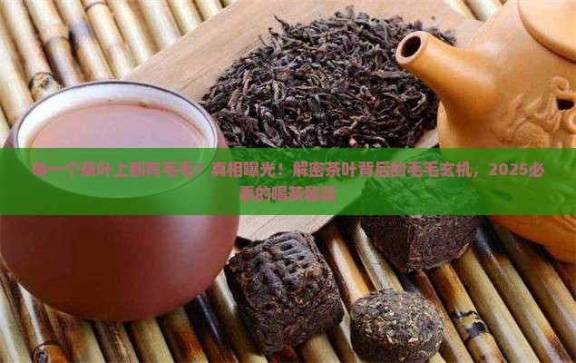 每一个茶叶上都有毛毛