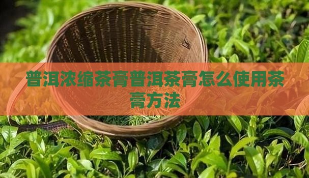普洱浓缩茶膏茶膏怎么用