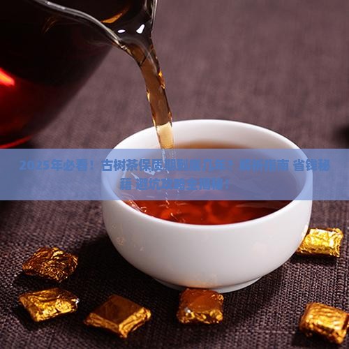 古树茶保质期几年