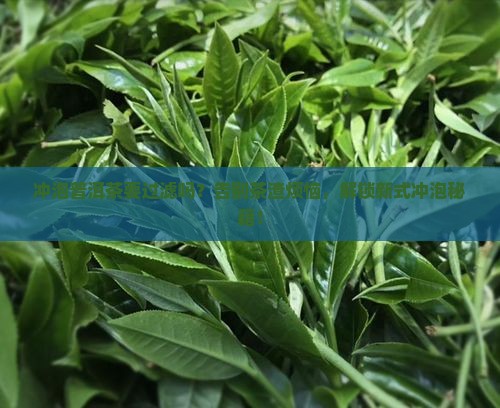 冲泡普洱茶要过滤吗