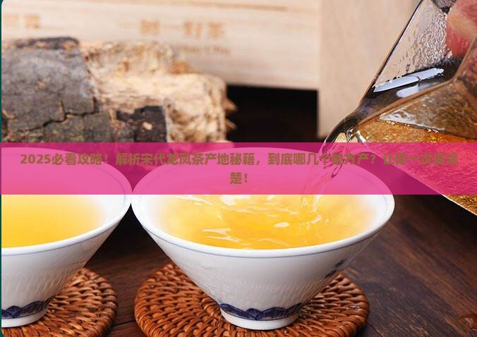 宋代龙凤茶的产地 宋代龙凤茶的产地