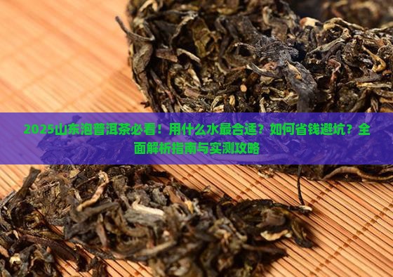 山东用什么水泡普洱茶