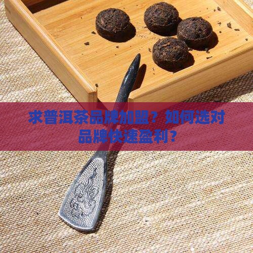 求普洱茶品牌加盟 求普洱茶品牌加盟