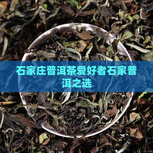石家庄喜欢喝普洱茶的朋友