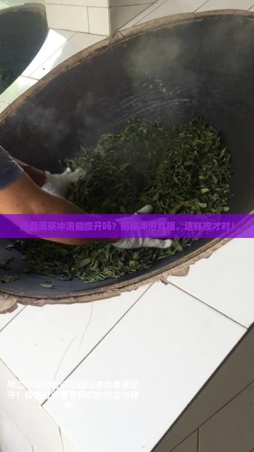熟普洱茶冲泡能搅开吗