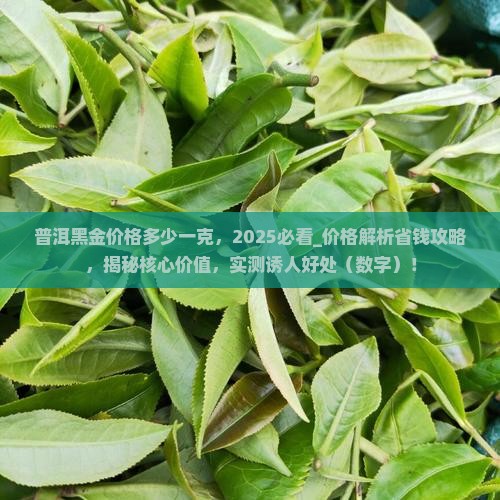 普洱黑金价格多少一克