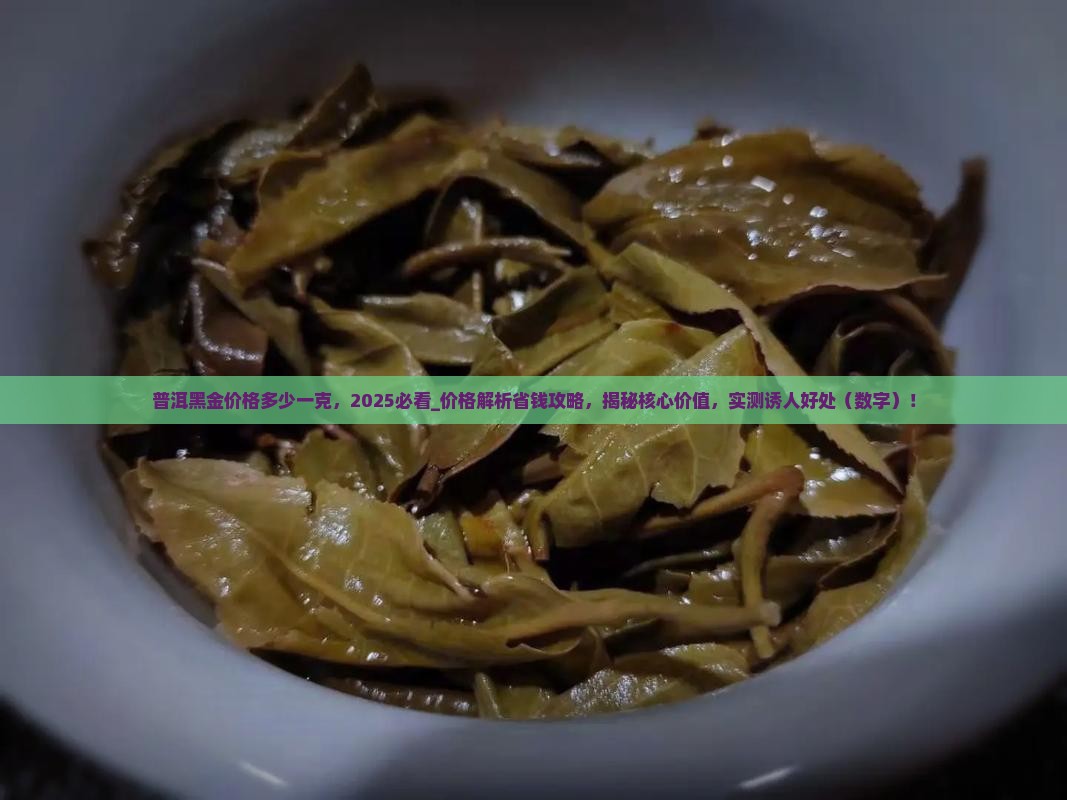 普洱黑金价格多少一克