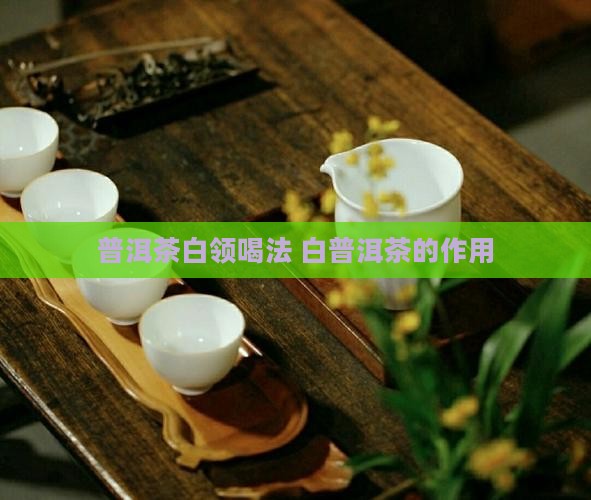 普洱茶白领喝法