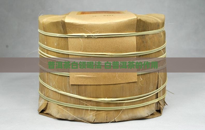 普洱茶白领喝法