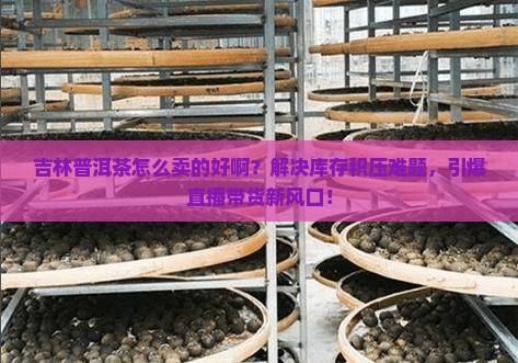 吉林普洱茶怎么卖的好啊