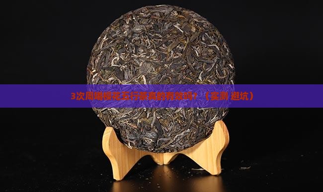 樱花五行茶多久喝一次