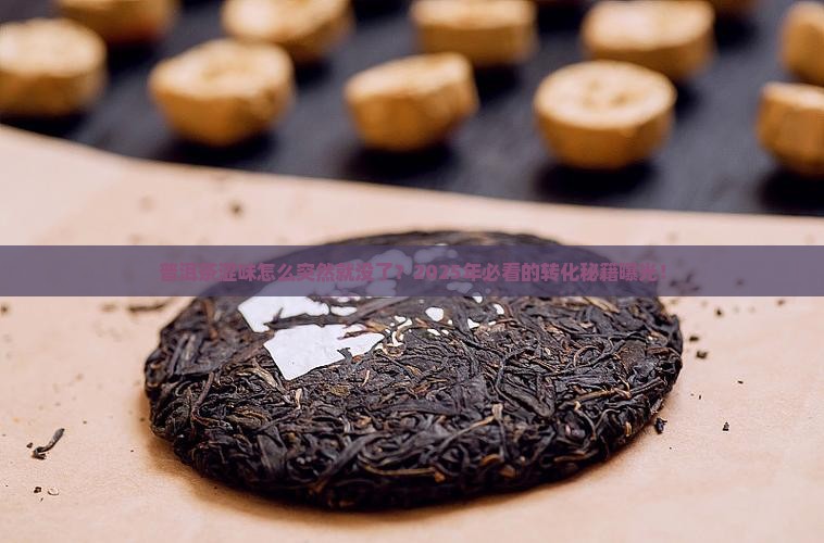 普洱茶涩味转化为什么这么快