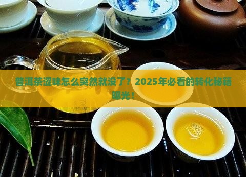 普洱茶涩味转化为什么这么快