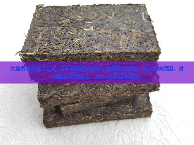 大益普洱茶喝了口干