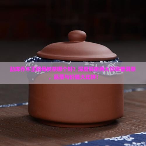 勐库乔木王和母树茶哪个好