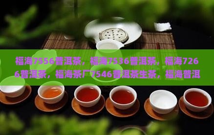 福海7556普洱茶 福海7556普洱茶