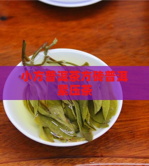 九五小方砖普洱茶紧压茶