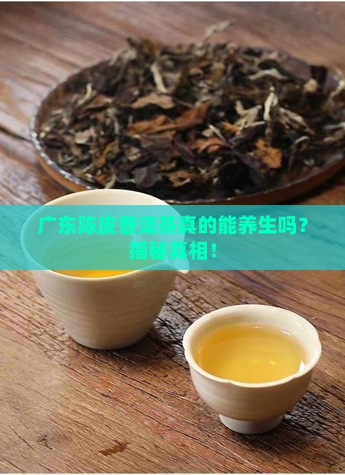 广东陈皮普洱茶