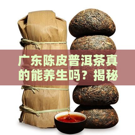 广东陈皮普洱茶