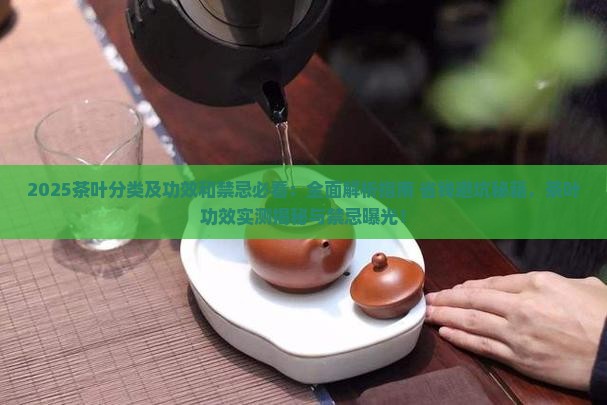 茶叶分类及功效和禁忌